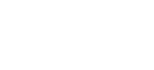 PREMIO IMPULSO 2010ELA PRINCIPADO