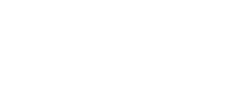 FESTIVAL INTERNACIONAL DE PUBLICIDAD 2008